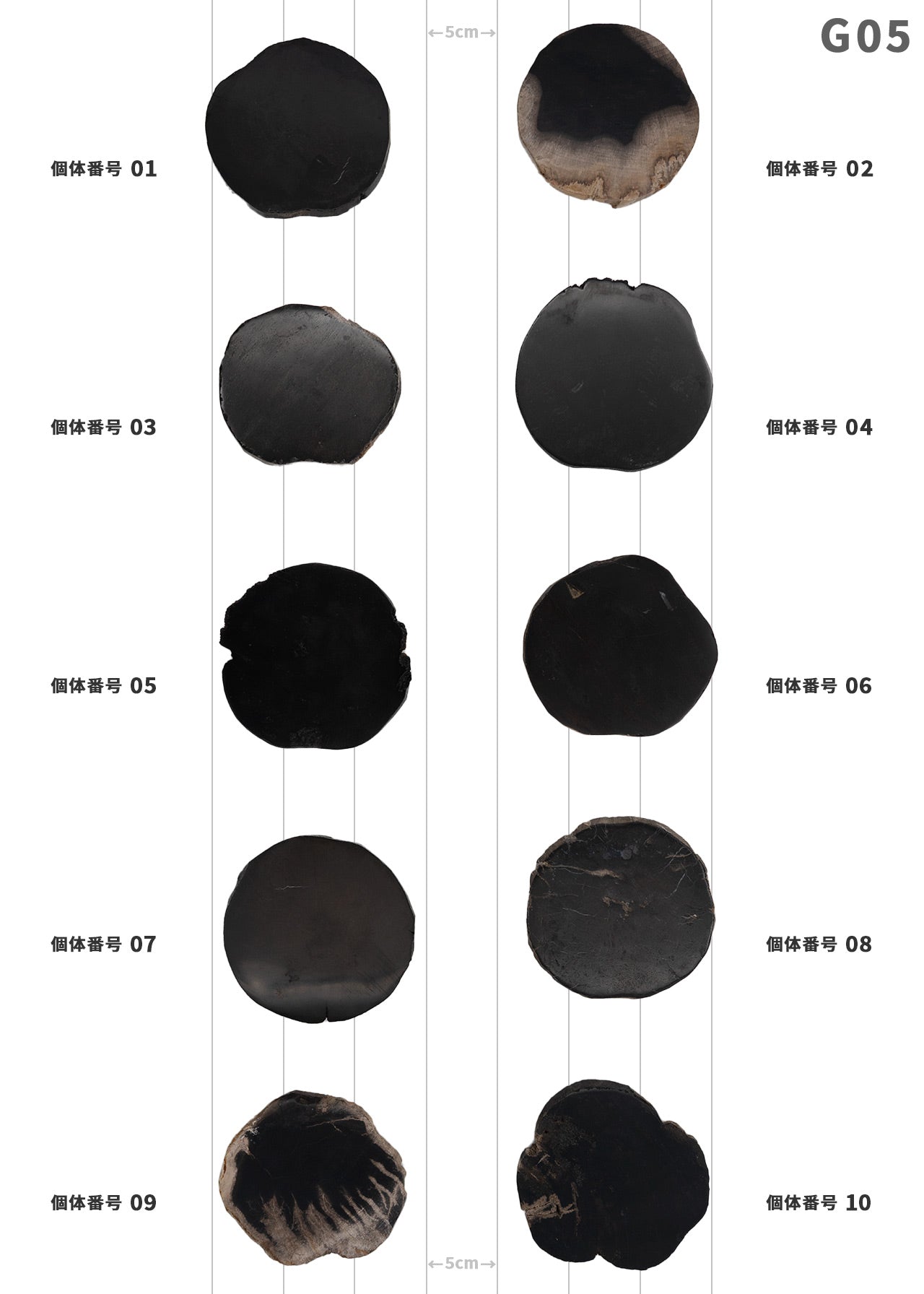 【個体で選べる】 amabro WOOD COASTER Black  珪化木