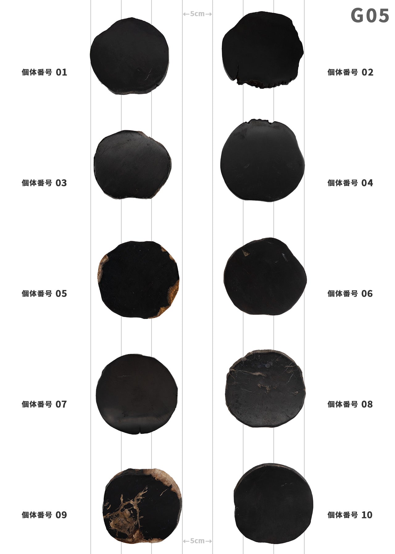 【100個体で選べる】 amabro WOOD COASTER Black  珪化木 コースター