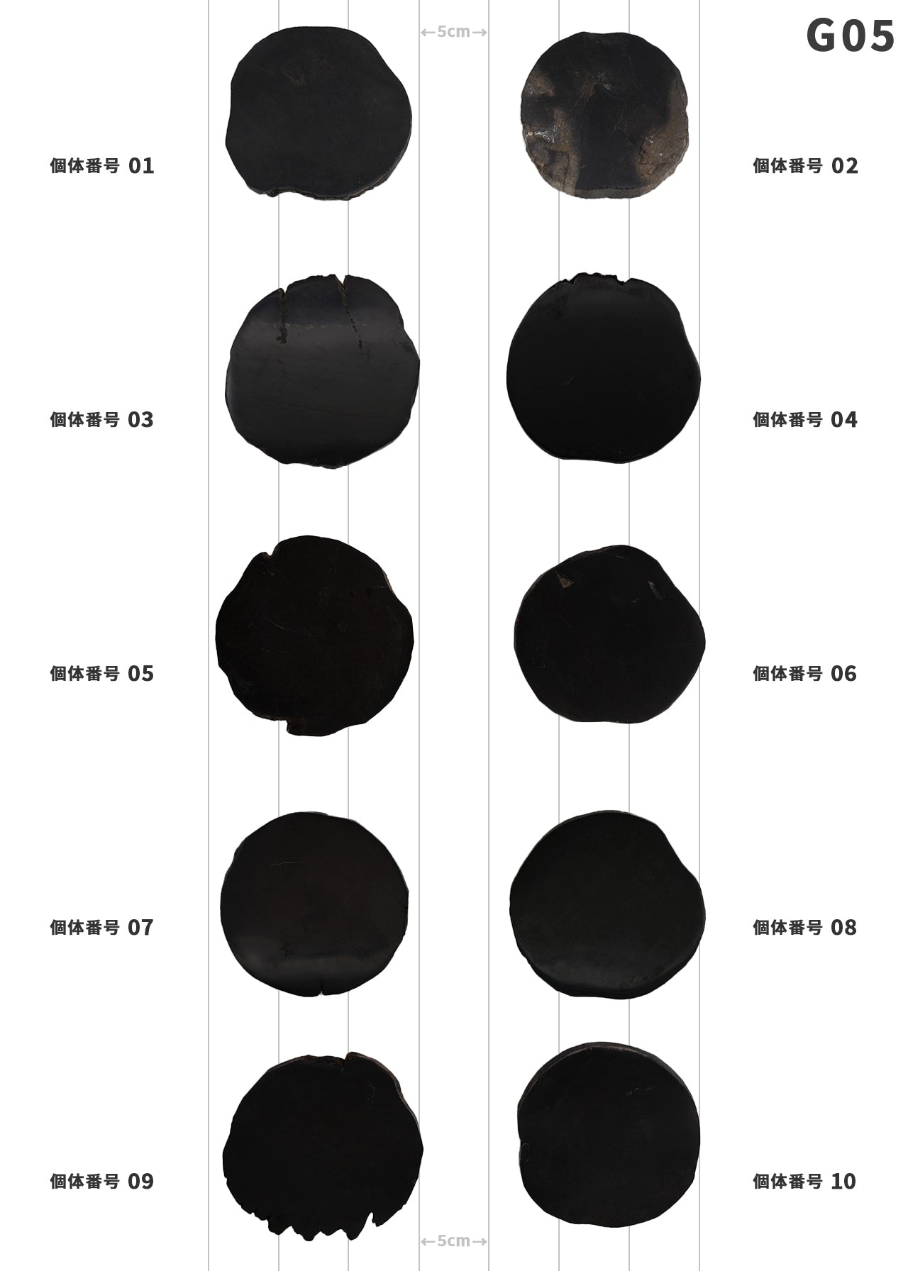 【100個体で選べる】 amabro WOOD COASTER Black  珪化木 コースター