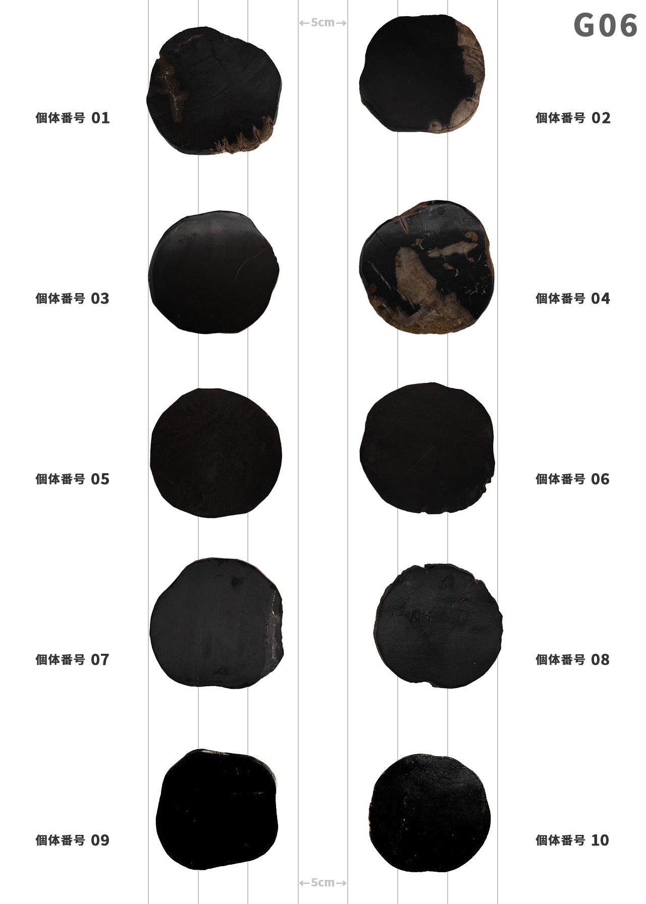 【100個体で選べる】 amabro WOOD COASTER Black  珪化木 コースター