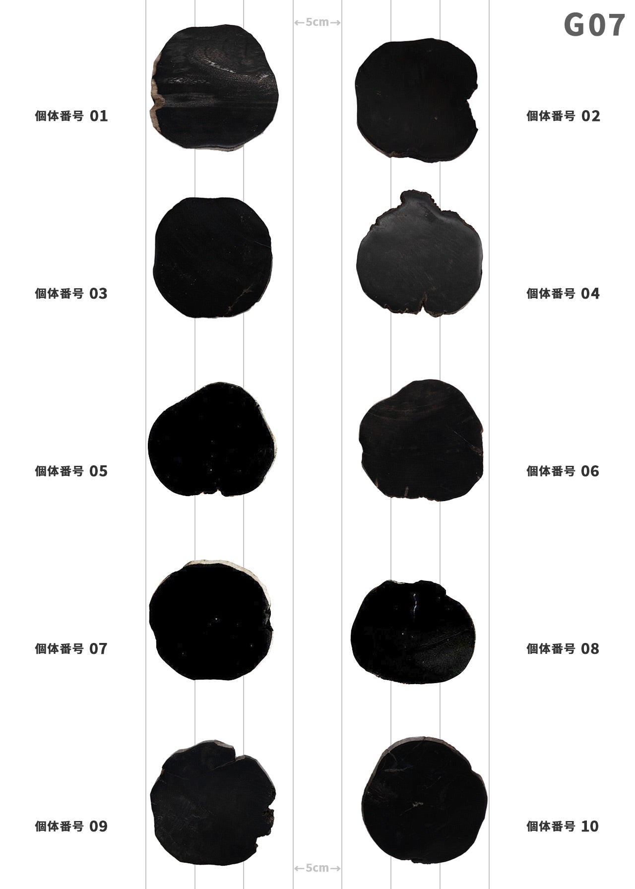 【個体で選べる】 amabro WOOD COASTER Black  珪化木