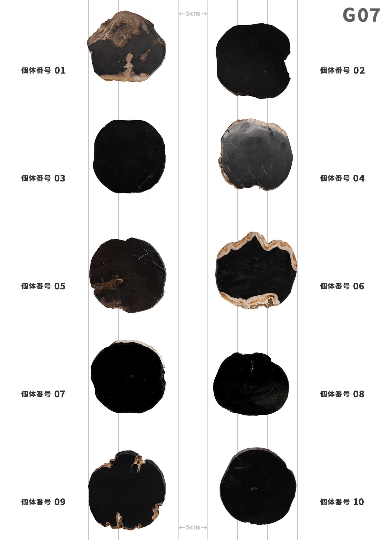 【個体で選べる】 amabro WOOD COASTER Black  珪化木