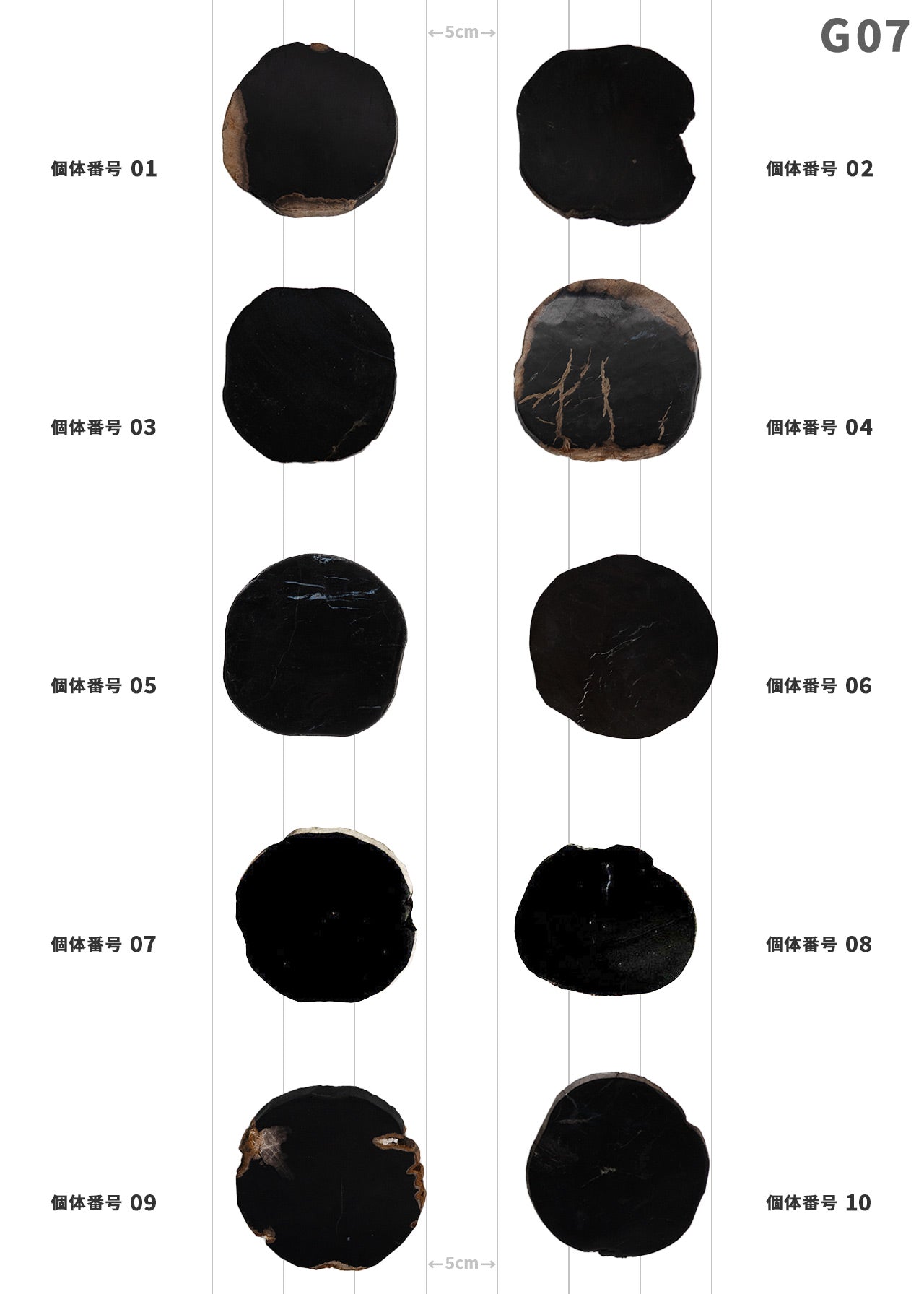 【100個体で選べる】 amabro WOOD COASTER Black  珪化木 コースター