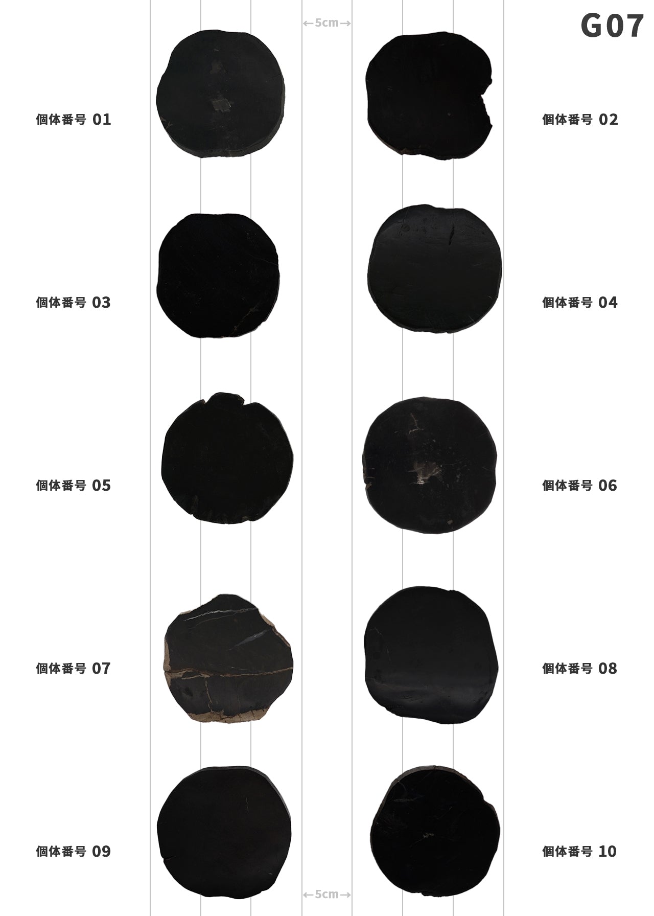 【100個体で選べる】 amabro WOOD COASTER Black  珪化木 コースター