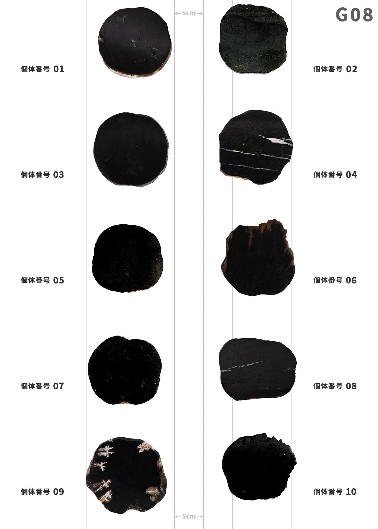 【個体で選べる】 amabro WOOD COASTER Black  珪化木
