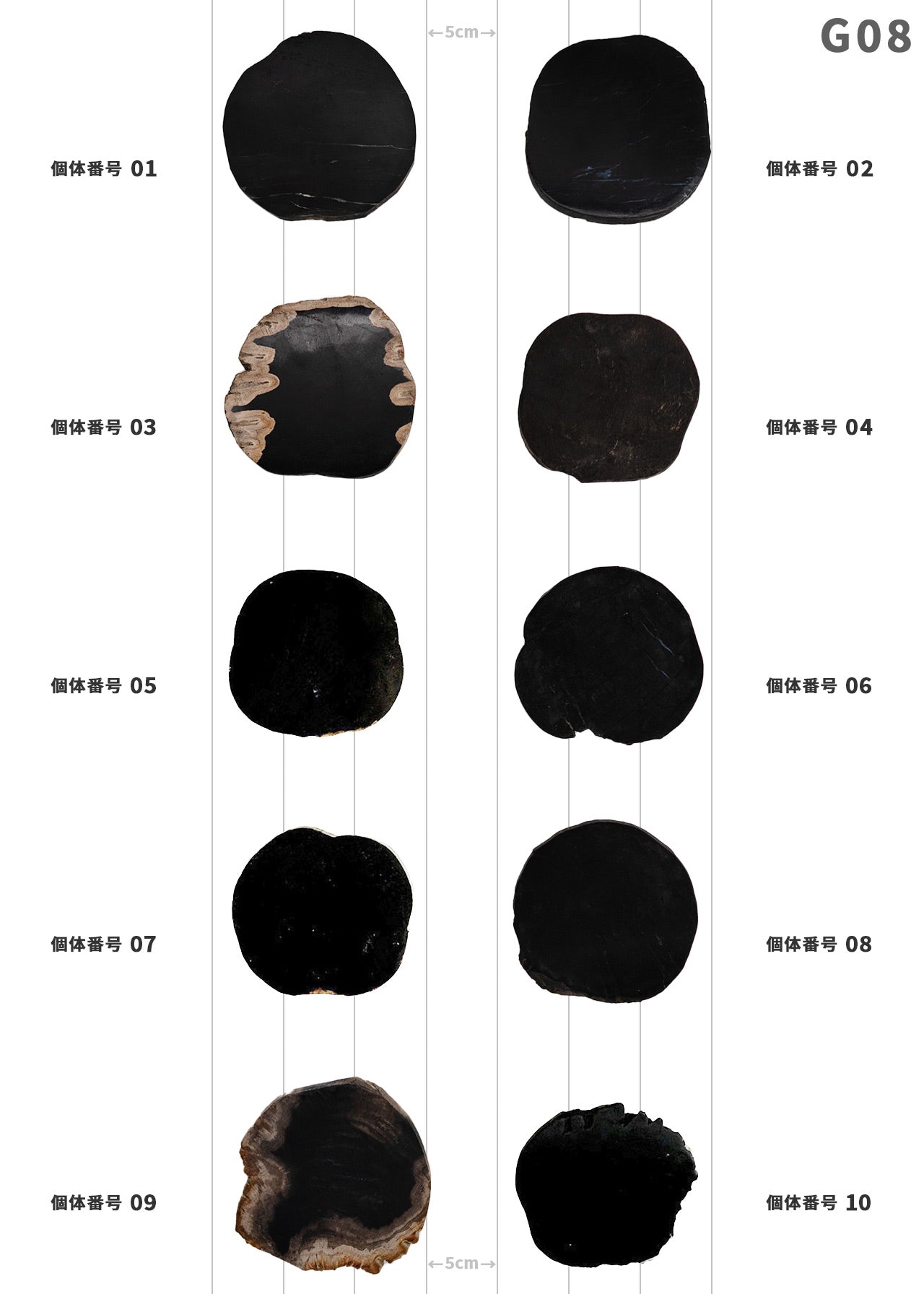 【100個体で選べる】 amabro WOOD COASTER Black  珪化木 コースター