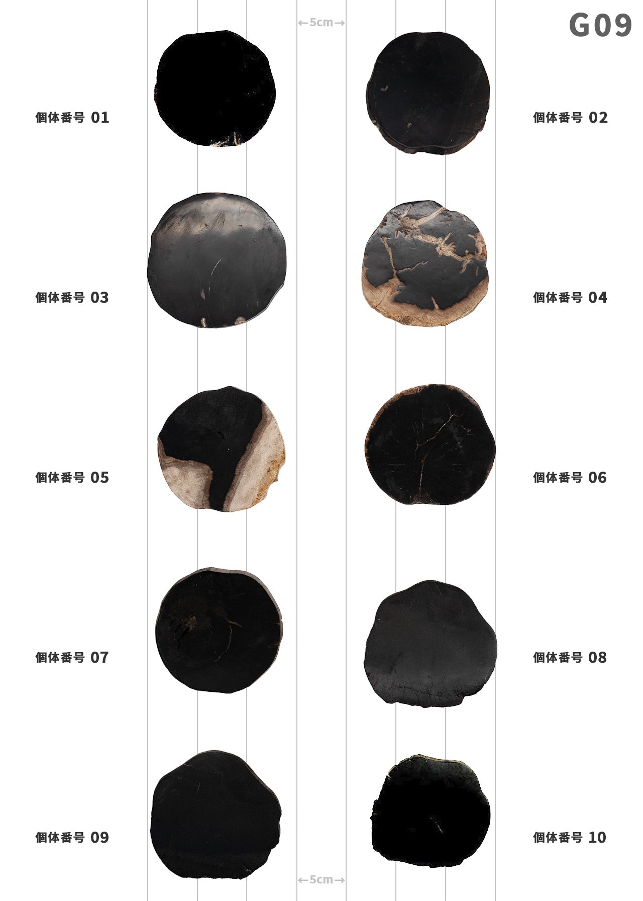 【100個体で選べる】 amabro WOOD COASTER Black  珪化木 コースター