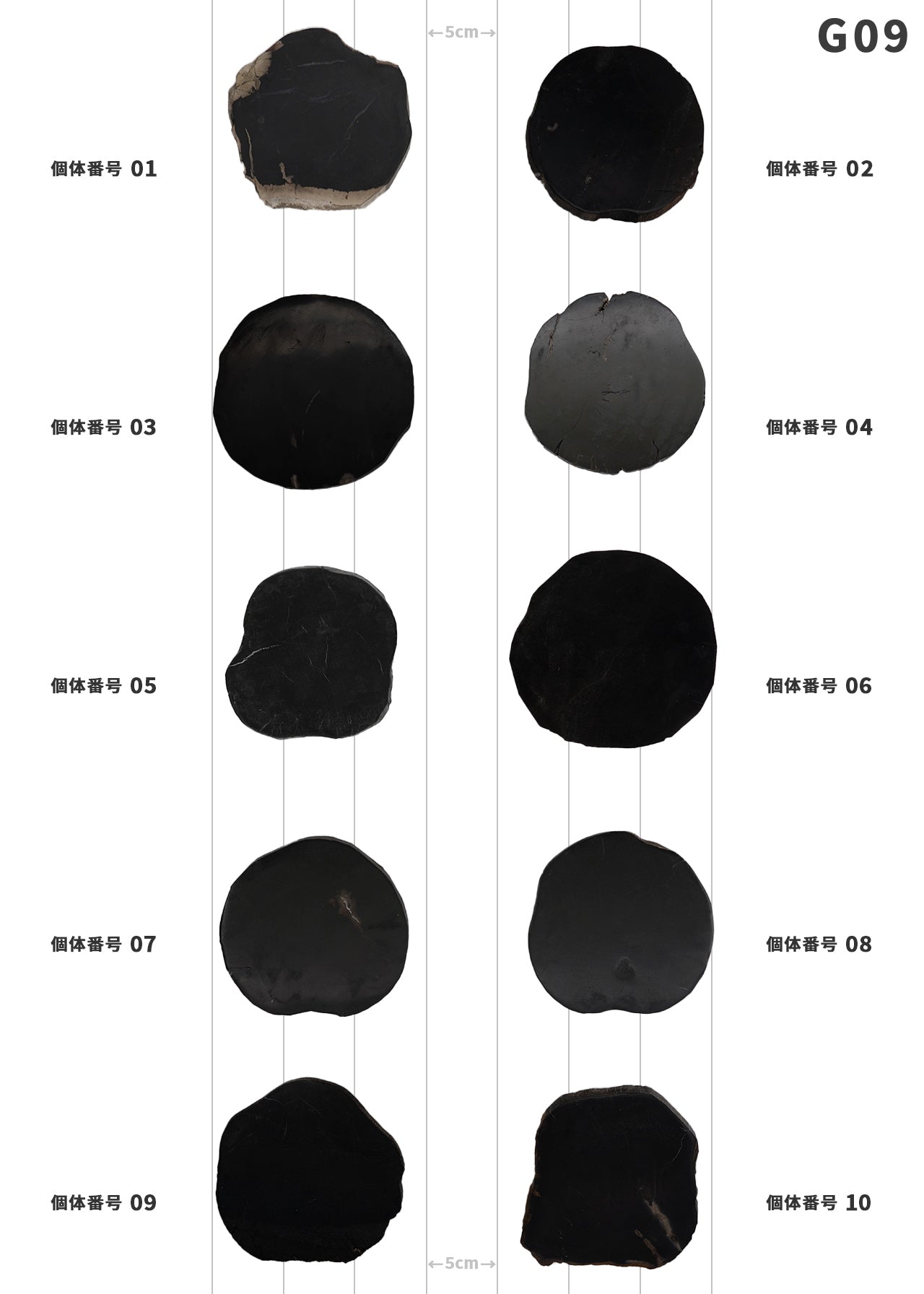 【100個体で選べる】 amabro WOOD COASTER Black  珪化木 コースター