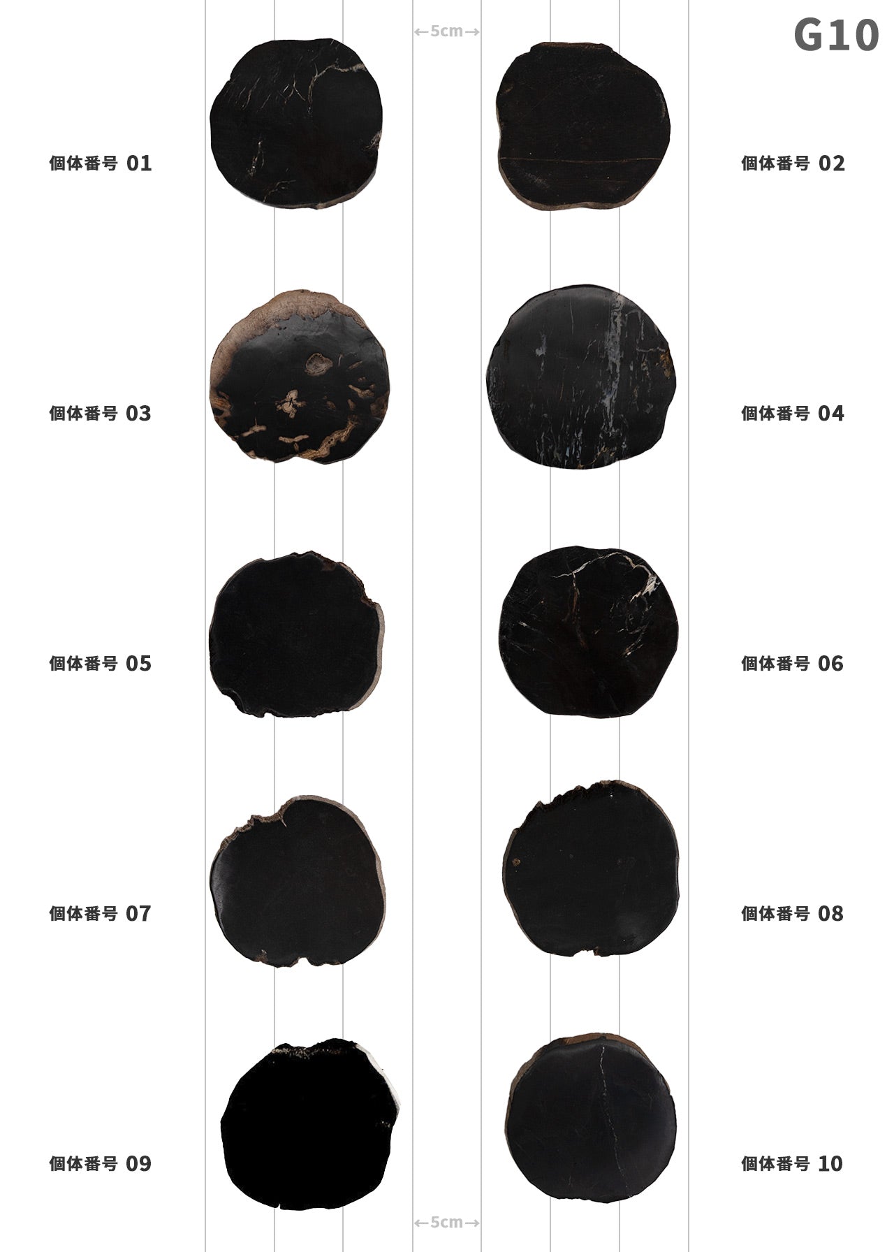 【100個体で選べる】 amabro WOOD COASTER Black  珪化木 コースター