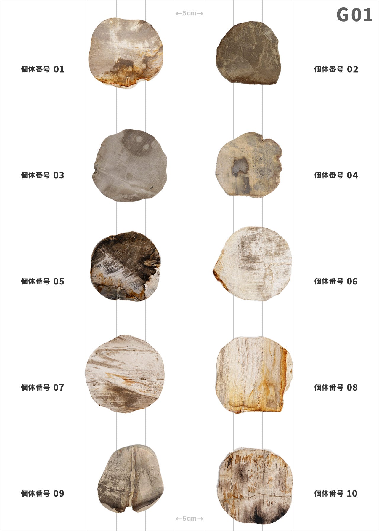 【個体で選べる】amabro WOOD COASTER Natural  珪化木