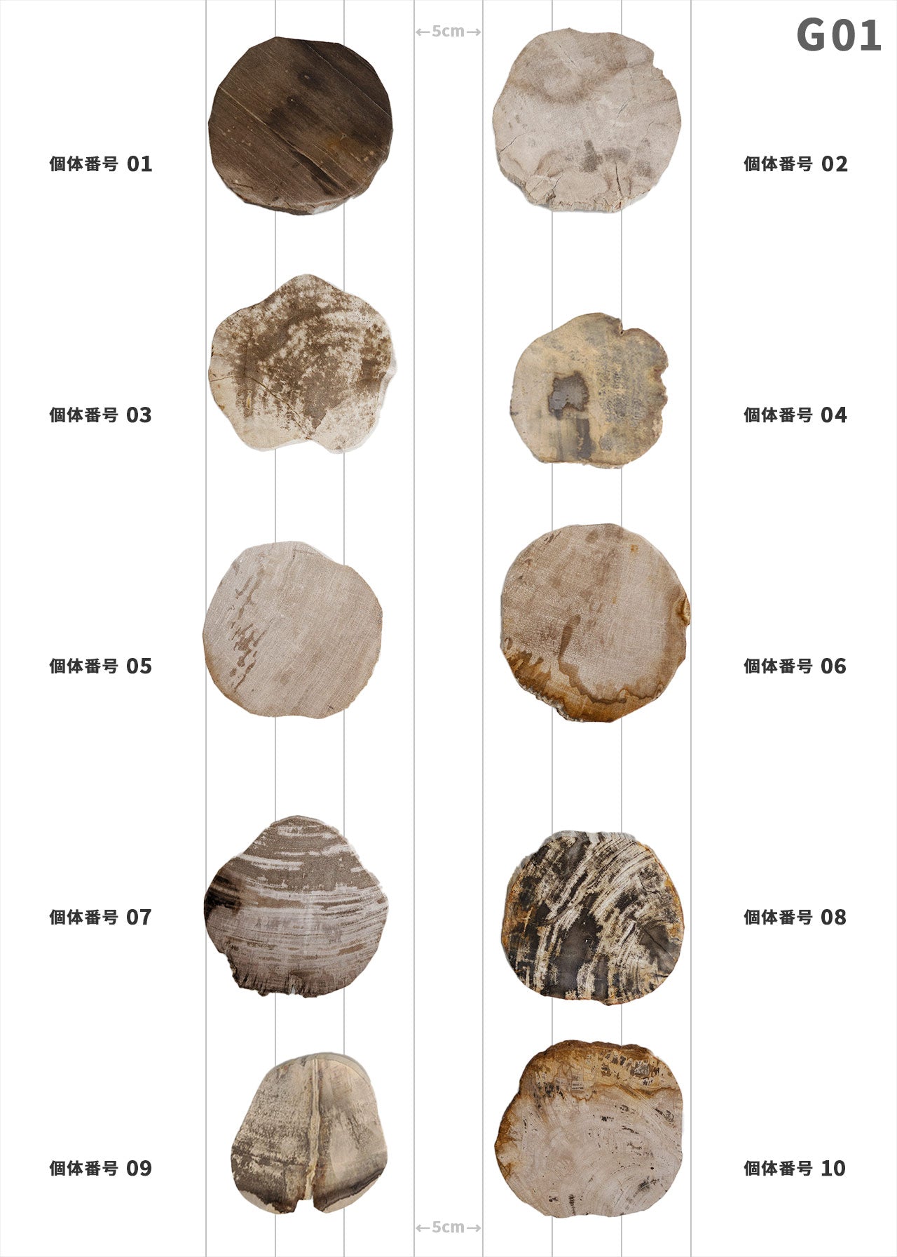 【個体で選べる】amabro WOOD COASTER Natural  珪化木