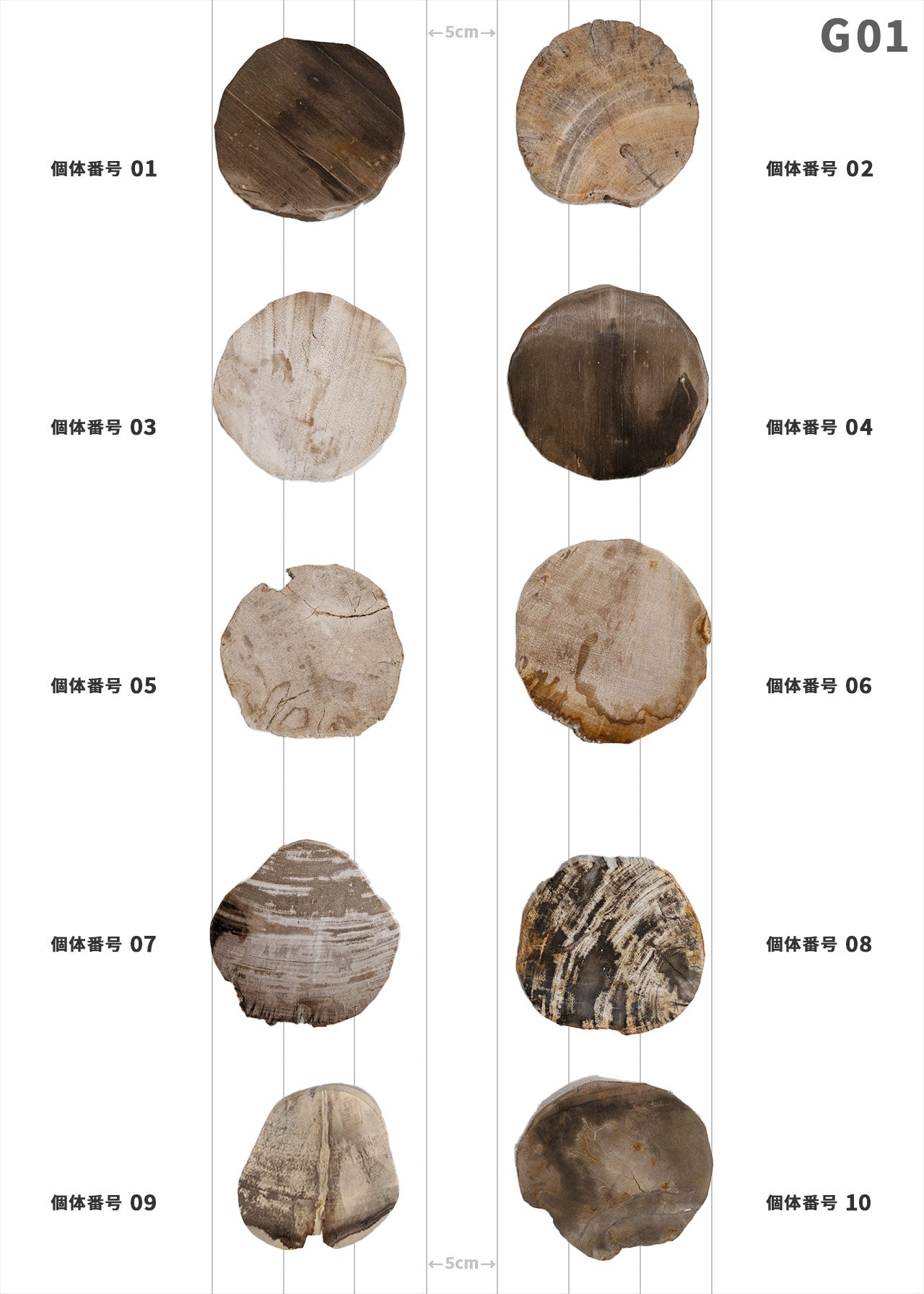 【個体で選べる】amabro WOOD COASTER Natural  珪化木