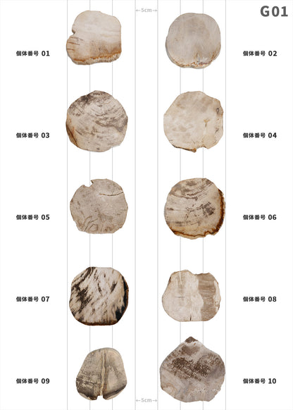 【100個体で選べる】amabro WOOD COASTER Natural  ウッドコースター ナチュラル 珪化木