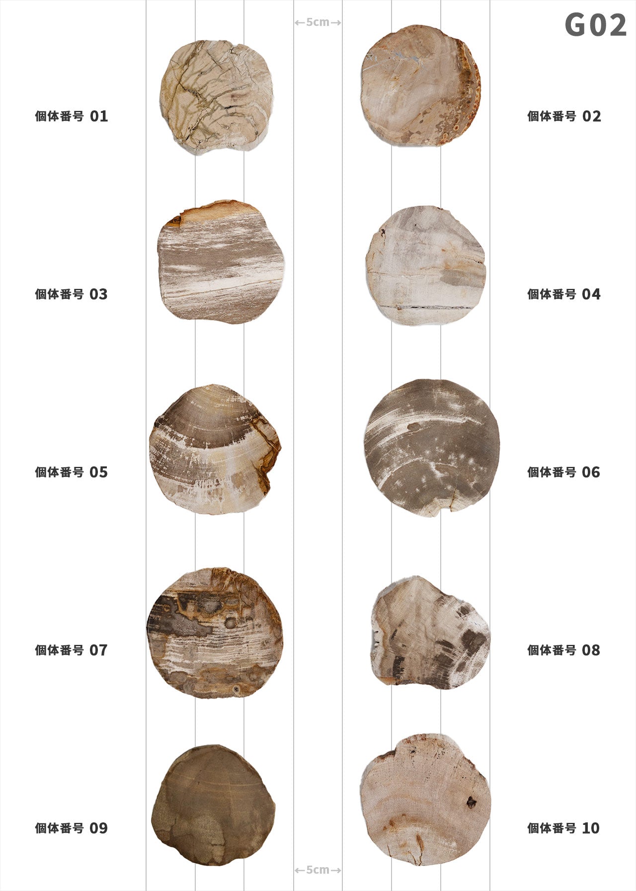 【個体で選べる】amabro WOOD COASTER Natural  珪化木