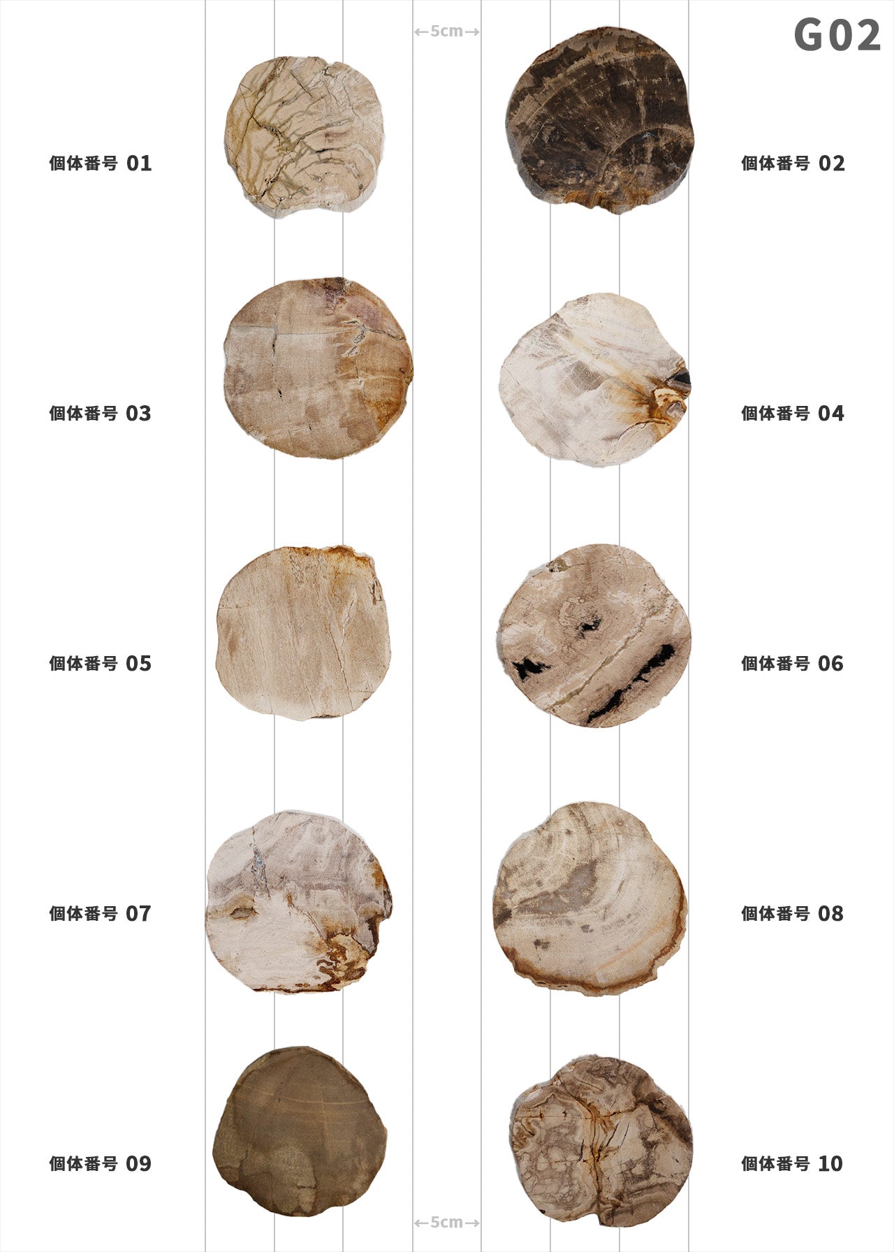 【100個体で選べる】amabro WOOD COASTER Natural  ウッドコースター ナチュラル 珪化木