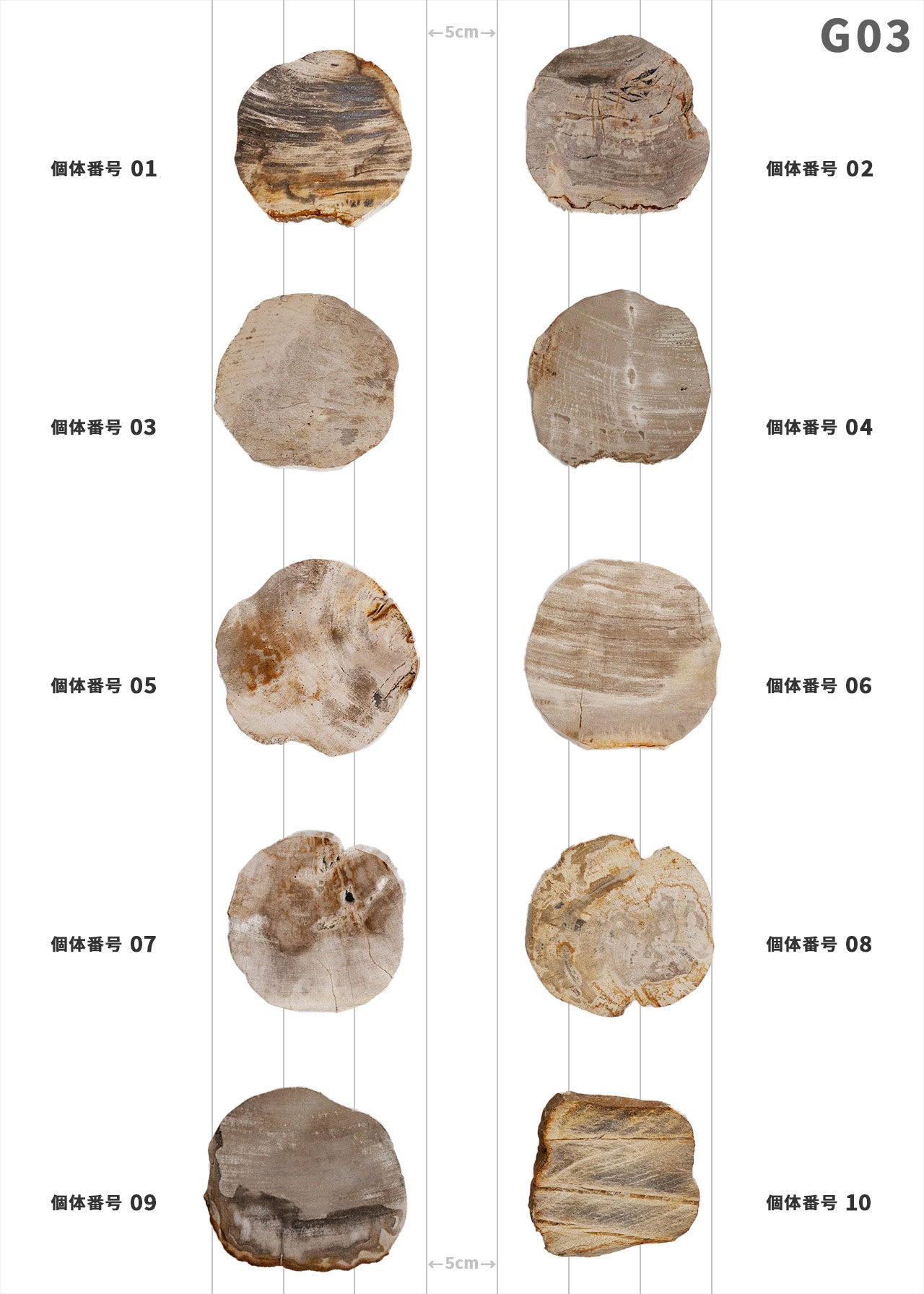 木製 自然な形状の置物 木の化石 希少 小物入れ クラスター