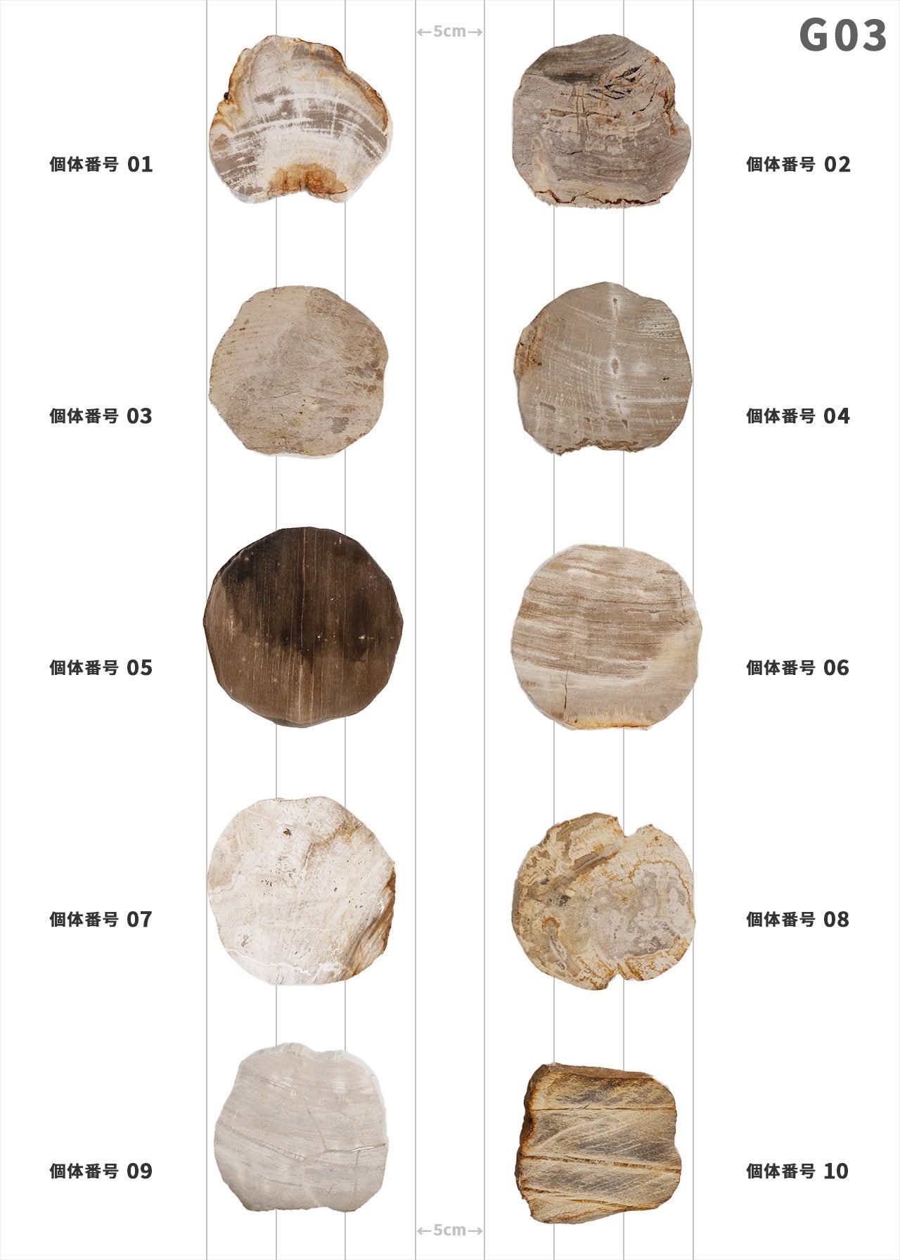 【個体で選べる】amabro WOOD COASTER Natural  珪化木