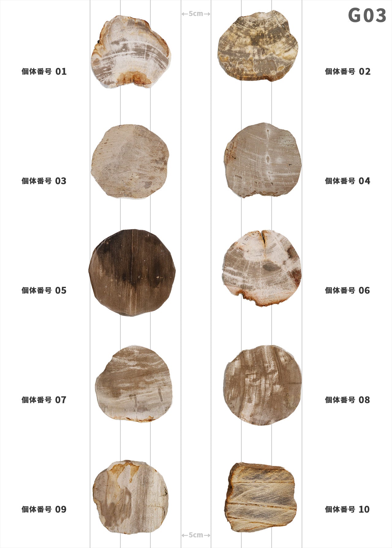 【個体で選べる】amabro WOOD COASTER Natural  珪化木