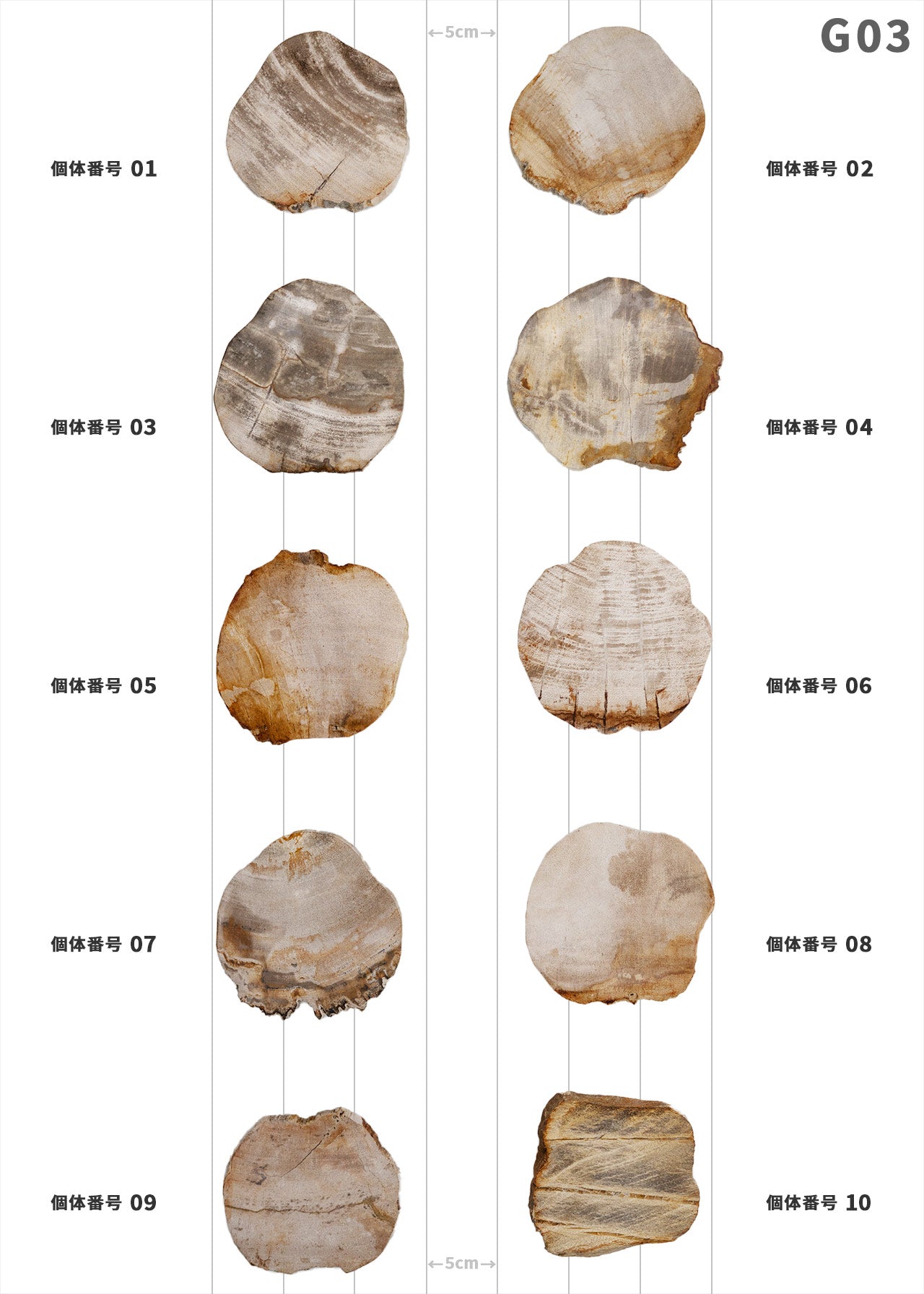 【100個体で選べる】amabro WOOD COASTER Natural  ウッドコースター ナチュラル 珪化木