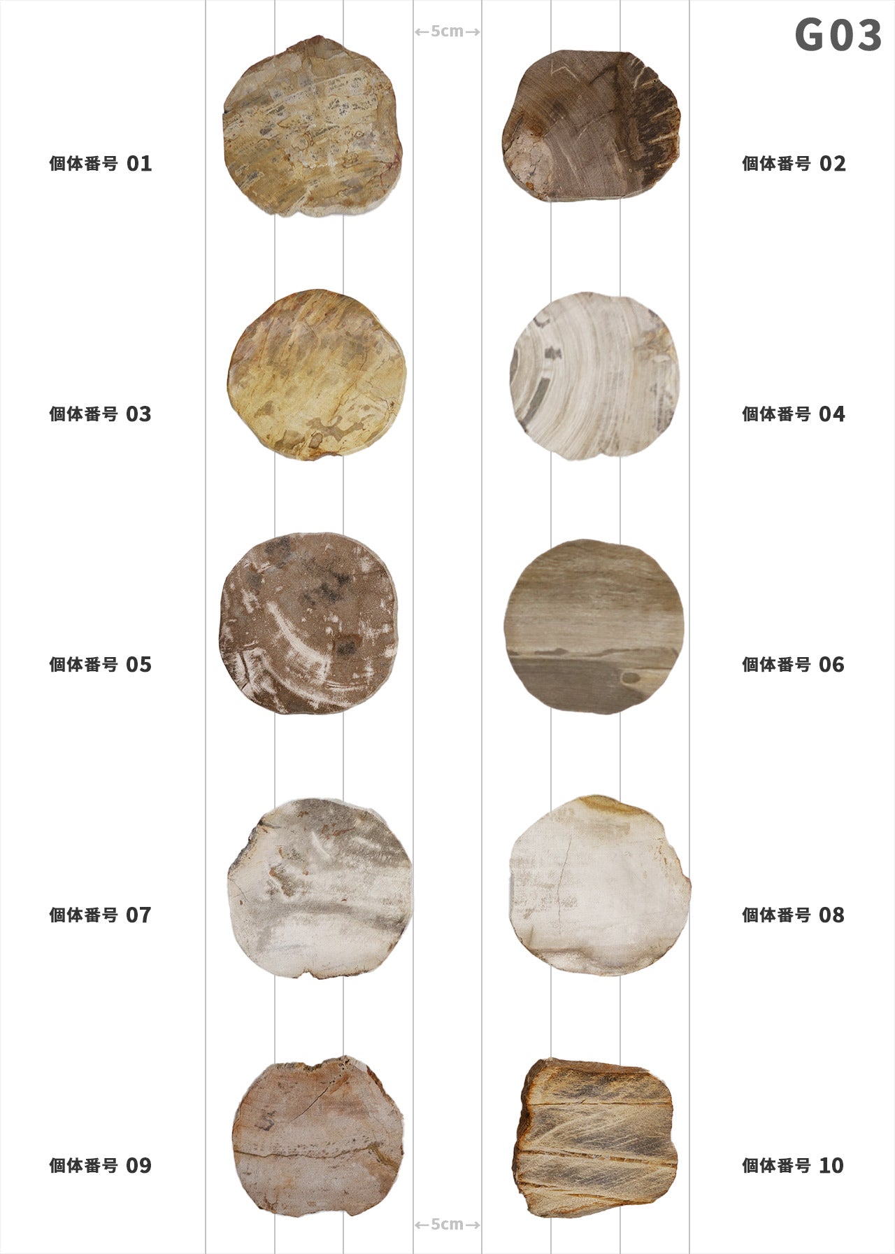 【100個体で選べる】amabro WOOD COASTER Natural  ウッドコースター ナチュラル 珪化木