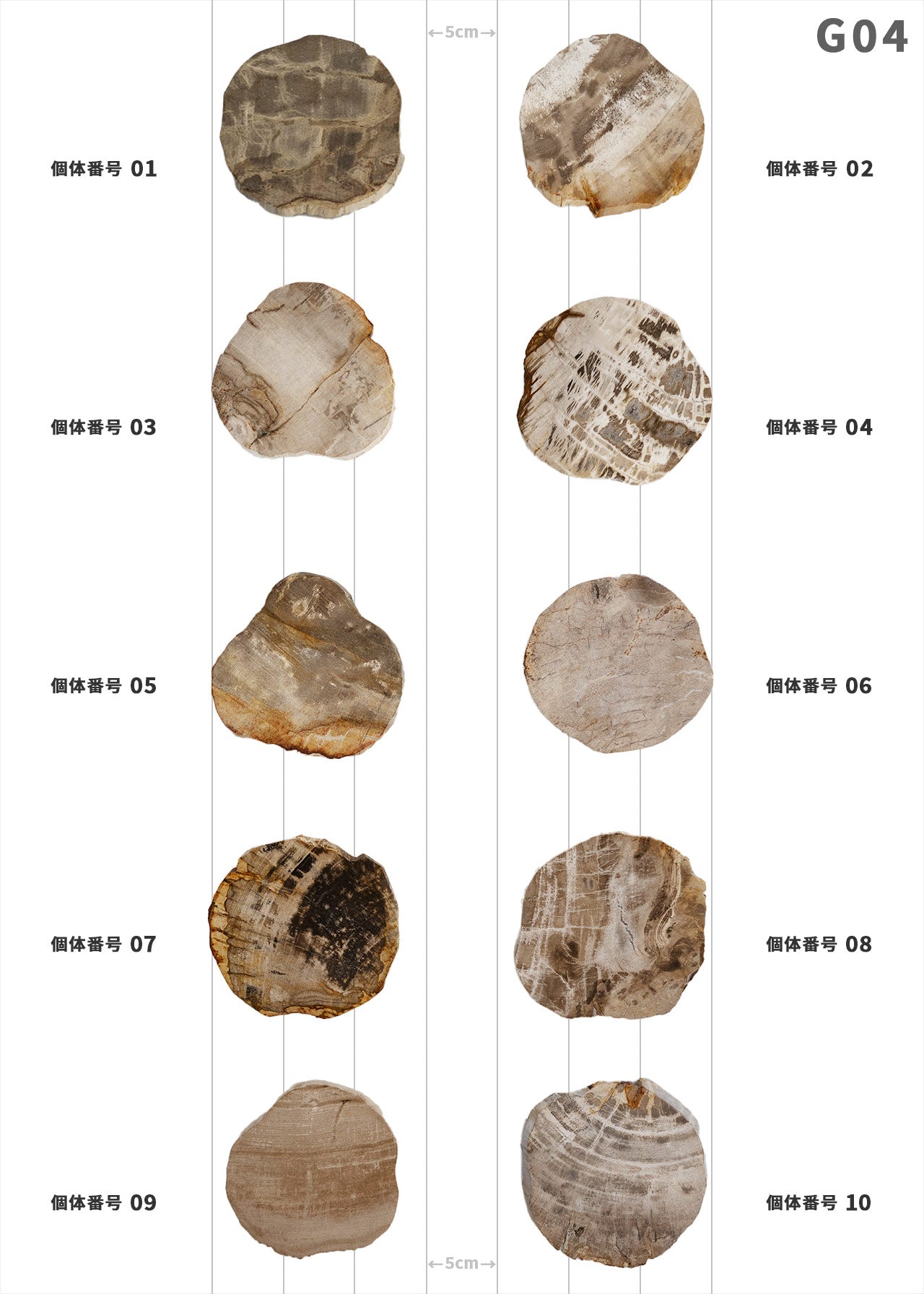 【個体で選べる】amabro WOOD COASTER Natural  珪化木