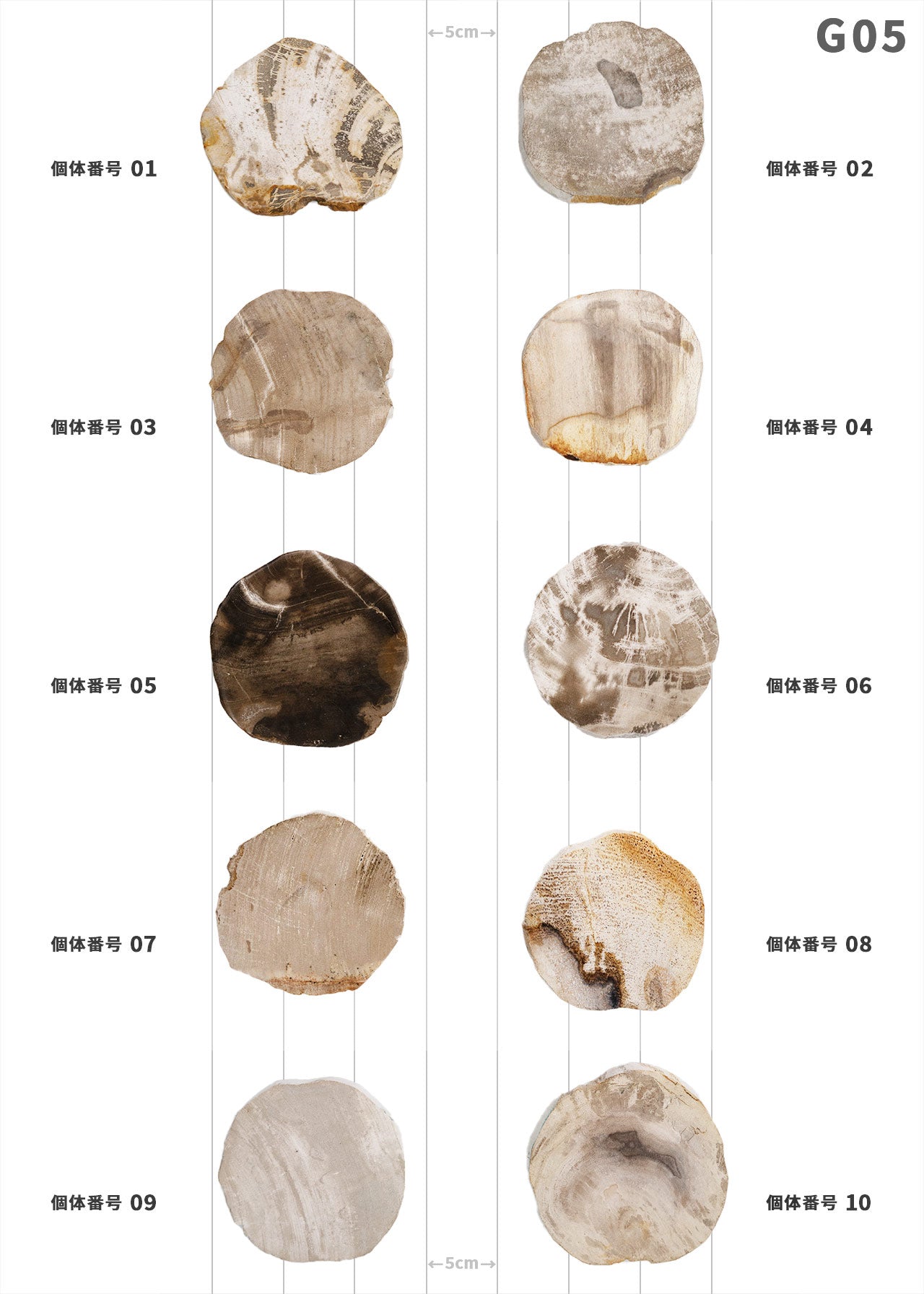 【個体で選べる】amabro WOOD COASTER Natural  珪化木