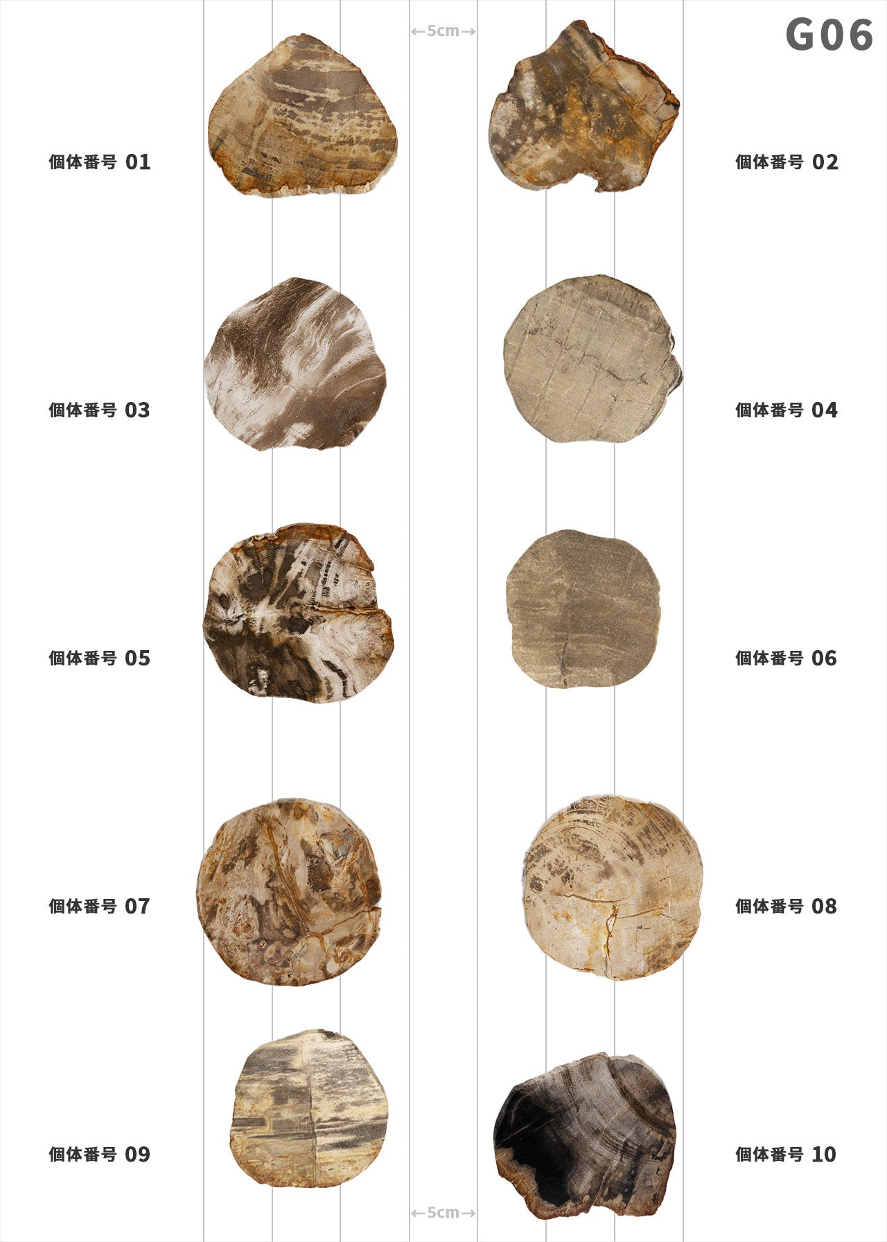 【個体で選べる】amabro WOOD COASTER Natural  珪化木