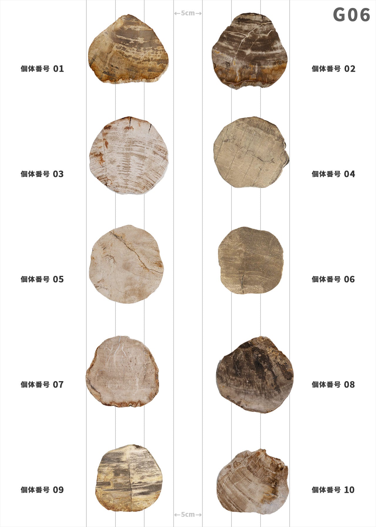 【100個体で選べる】amabro WOOD COASTER Natural  ウッドコースター ナチュラル 珪化木