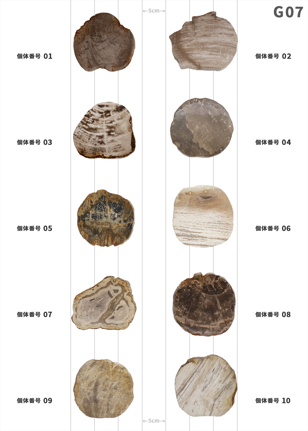 【100個体で選べる】amabro WOOD COASTER Natural  ウッドコースター ナチュラル 珪化木