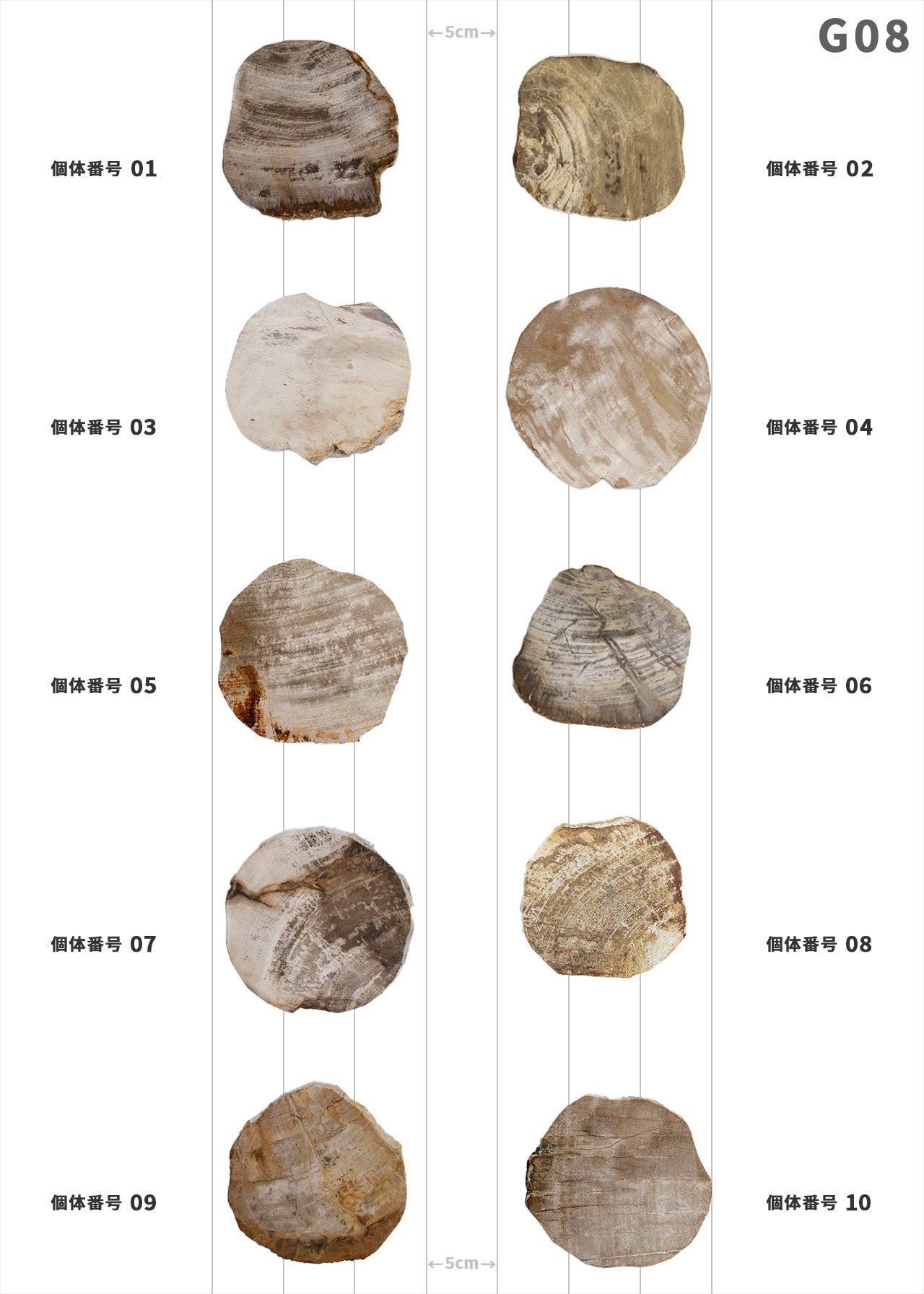 【個体で選べる】amabro WOOD COASTER Natural  珪化木