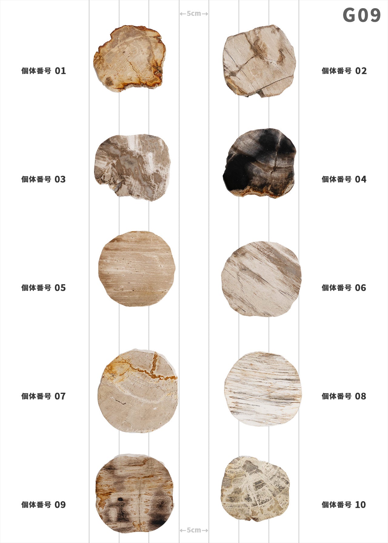 【個体で選べる】amabro WOOD COASTER Natural  珪化木