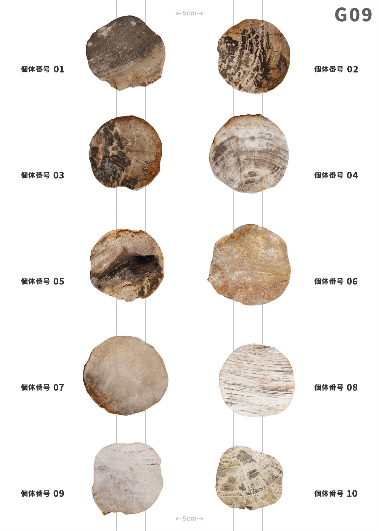 【個体で選べる】amabro WOOD COASTER Natural  珪化木