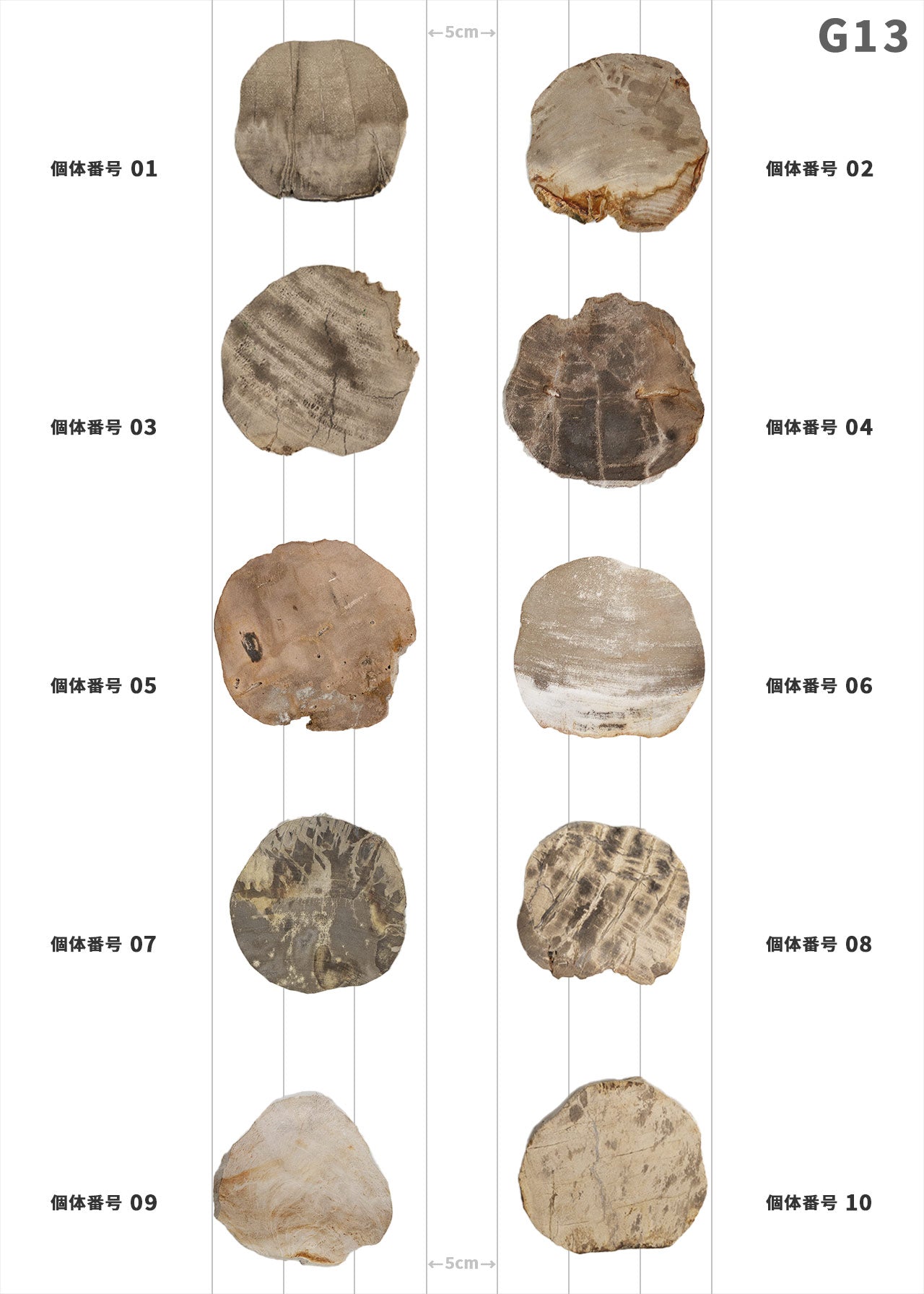 【100個体で選べる】amabro WOOD COASTER Natural  ウッドコースター ナチュラル 珪化木