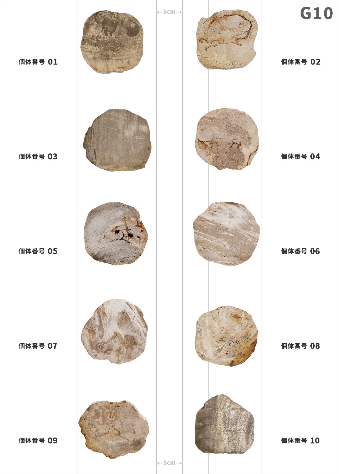 【個体で選べる】amabro WOOD COASTER Natural  珪化木