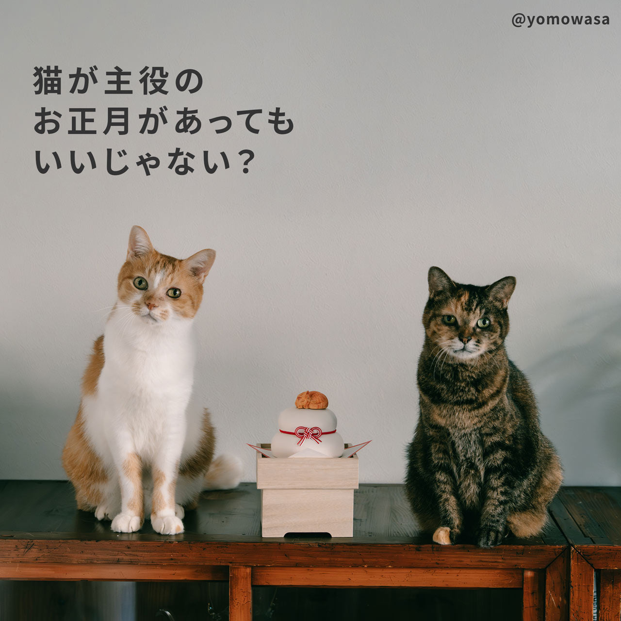 ねこくら 木彫りの鏡餅 木製 猫ののった鏡餅