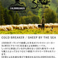 【在庫限り】 シープ･バイ･ザ･シー  ブーティ ダブルカラー 5色 ルームシューズ Sheep by the Sea
