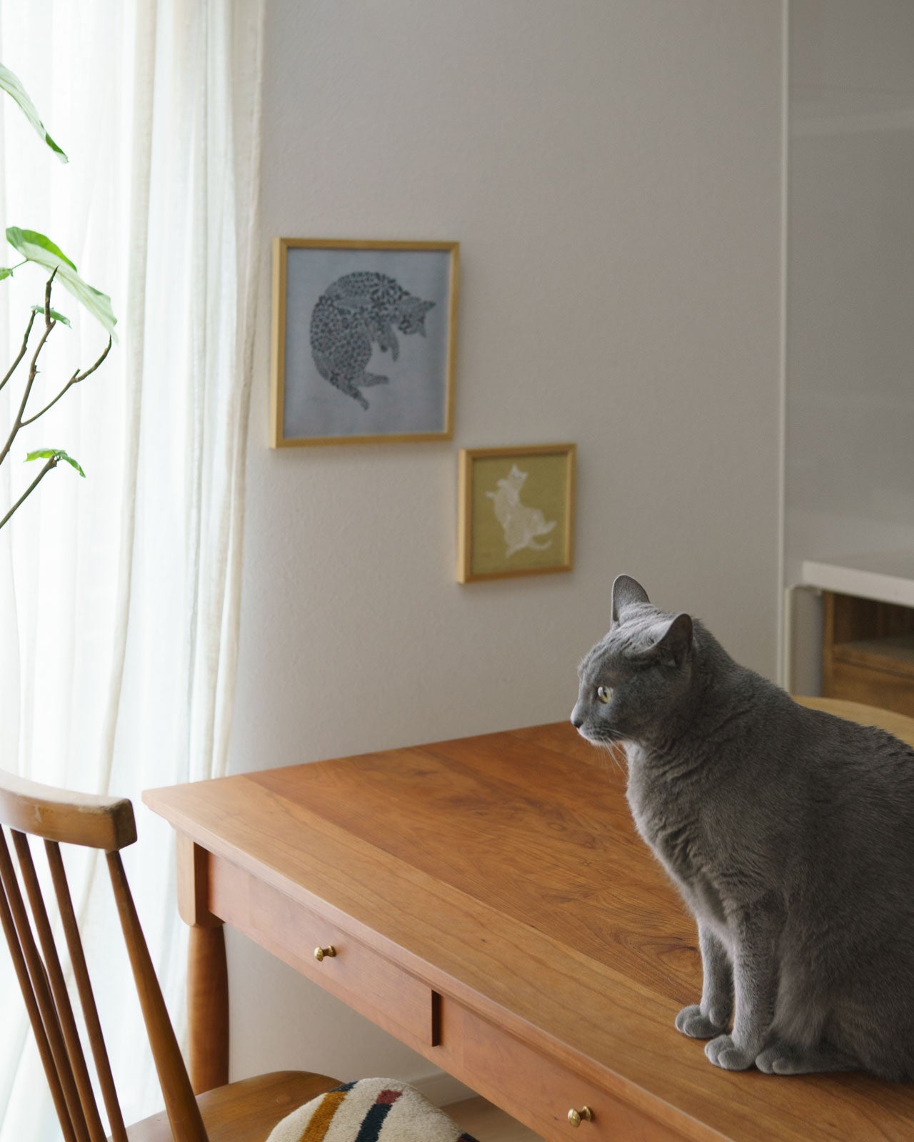 ねこくら×sotlight Fluffy CAT ポスター + フレーム 30 Curled up まる