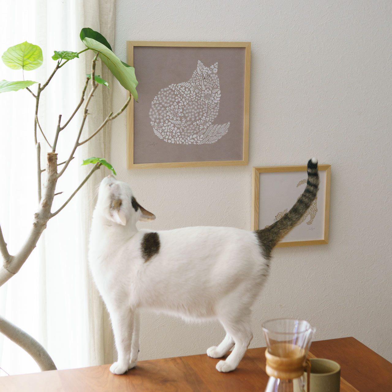 ねこくら×sotlight Fluffy CAT ポスター + フレーム 30 Looking 見つめる