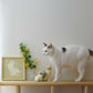 ねこくら×sotlight Fluffy CAT ポスター + フレーム 20 Tummy up ヘソ天
