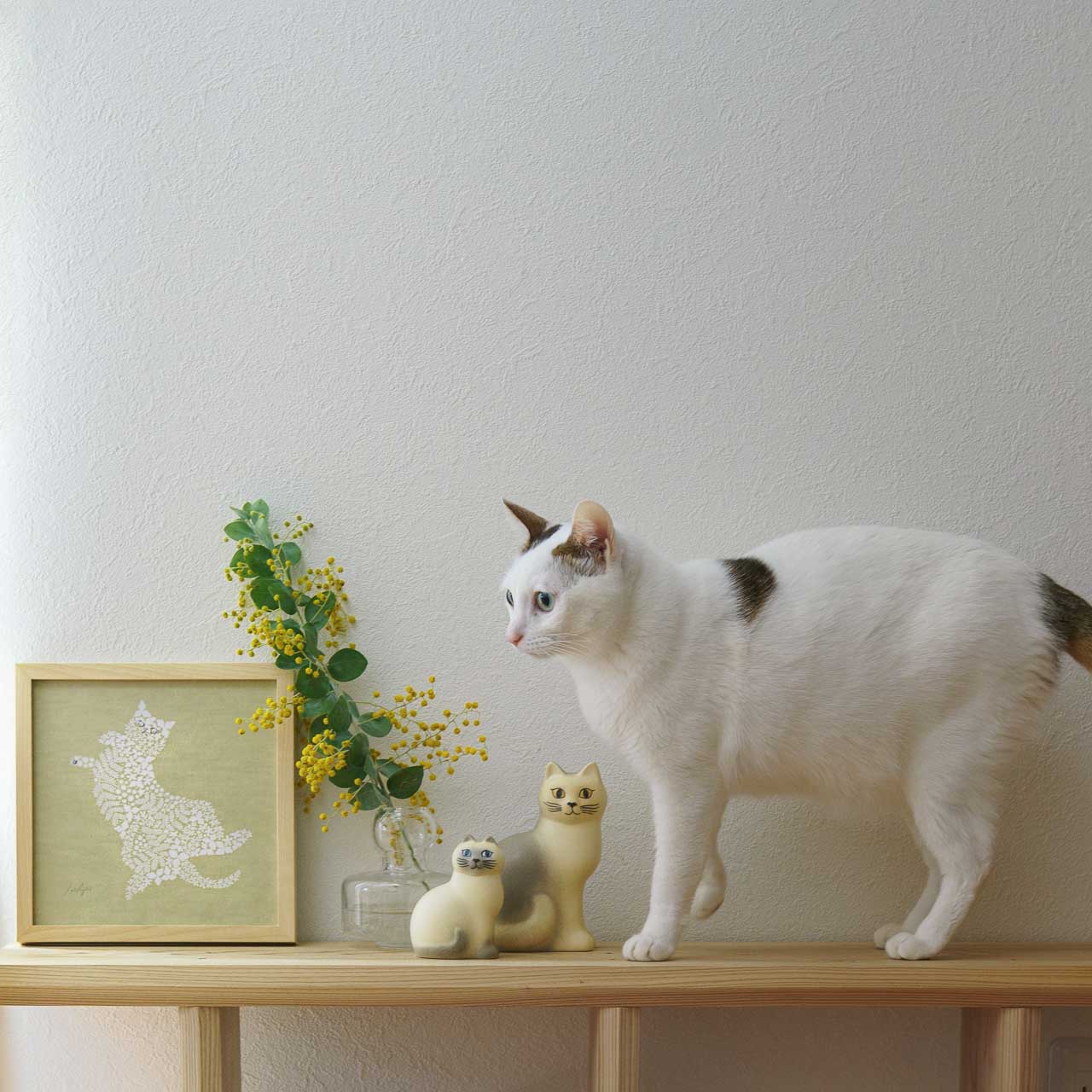 ねこくら×sotlight Fluffy CAT ポスター + フレーム 20 Tummy up ヘソ天