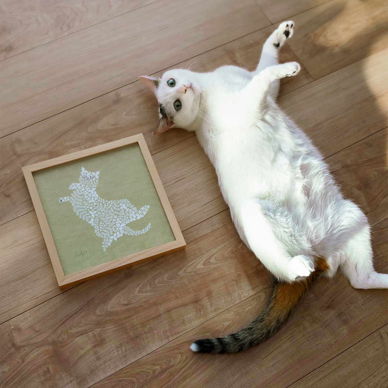 ねこくら×sotlight Fluffy CAT ポスター + フレーム 20 Tummy up ヘソ天