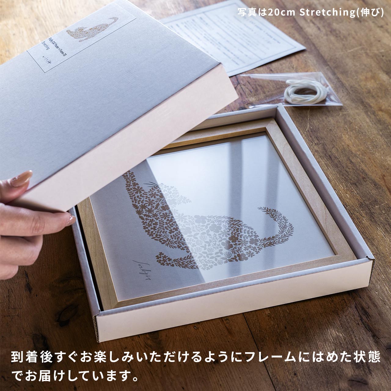 猫 ポスター フレーム付 30cm ねこくら×sotlight Fluffy CAT 見つめる