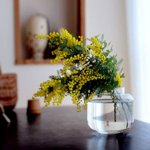 ガラス製花瓶 2点セット 花器 フラワーベース skruf スクルーフ 2223-ro-1-9877_8a73866b-6e27-