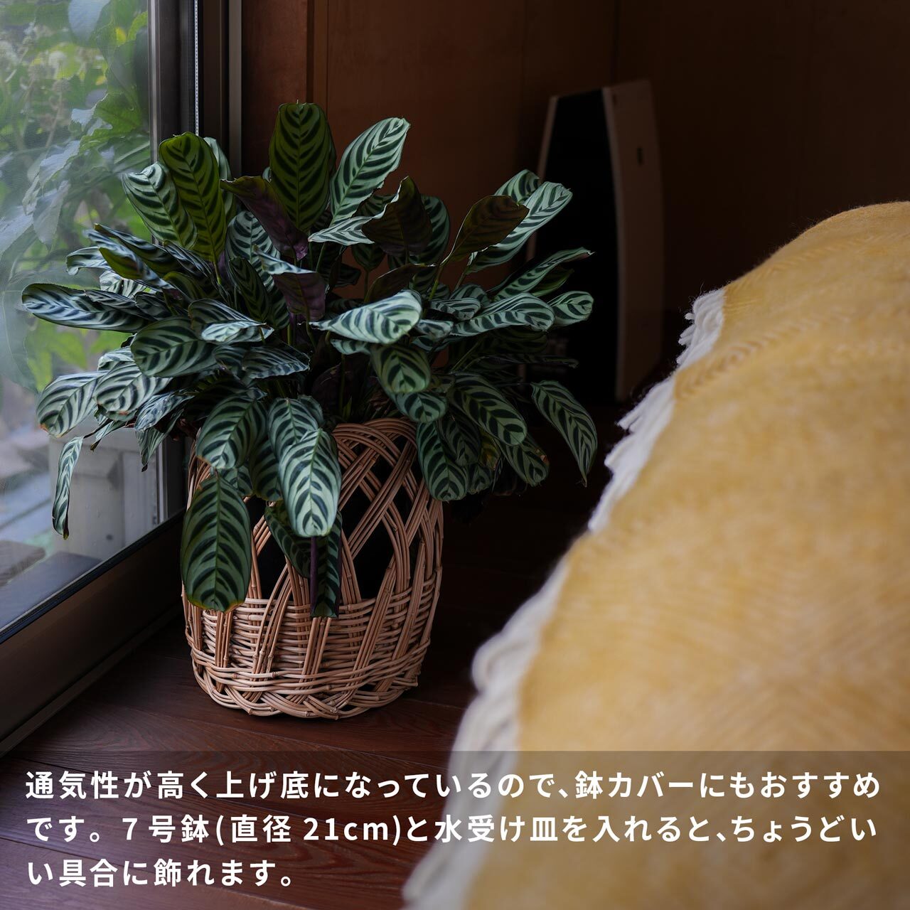 寒竹のメゴ籠 竹工房せきねメゴ笹 寒竹のメゴ籠 高台付｜日本製手編み