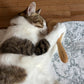 【名入れ】 ねこくら Hug!brush オリジナル キャットブラシ