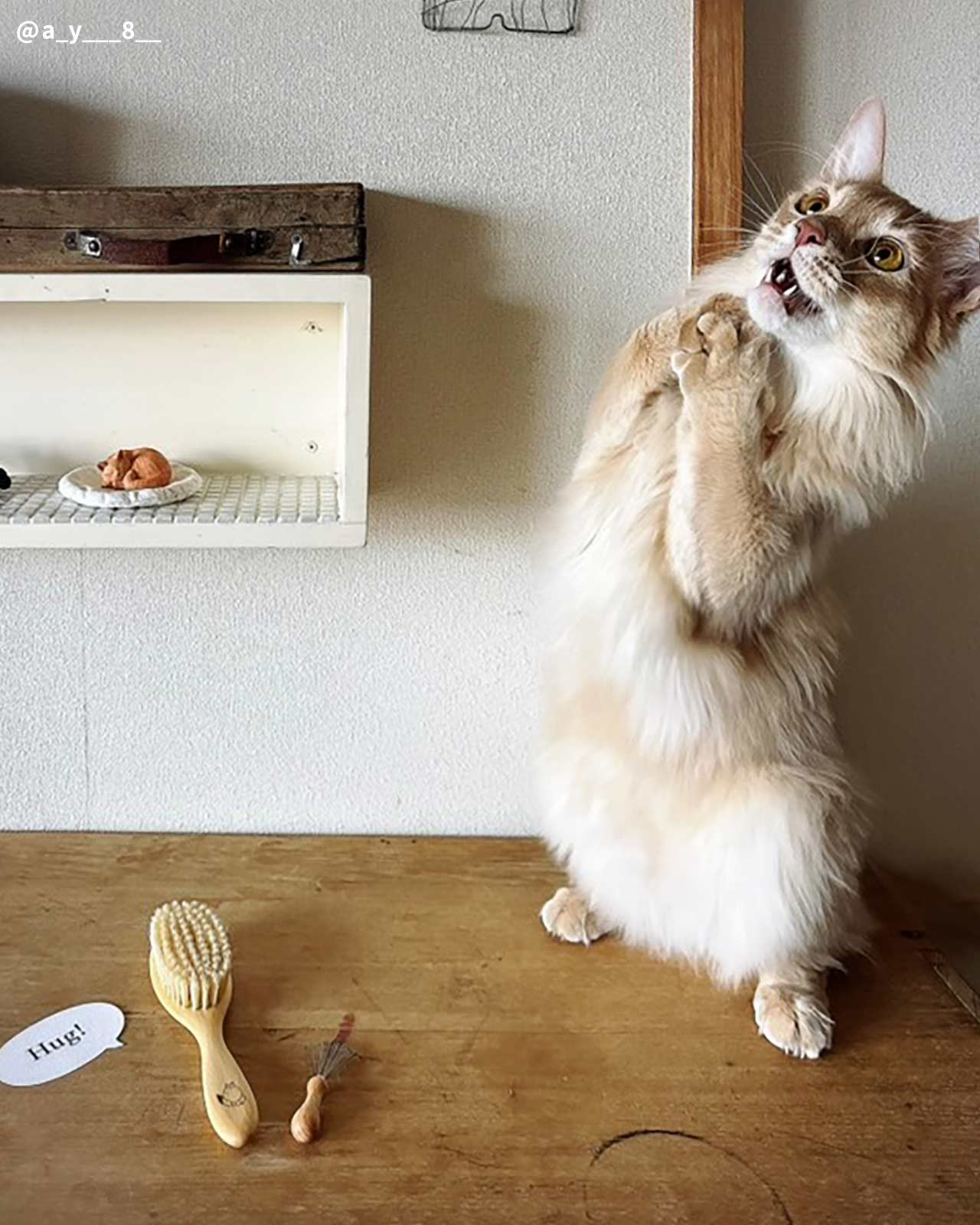 【名入れ】 ねこくら Hug!brush オリジナル キャットブラシ