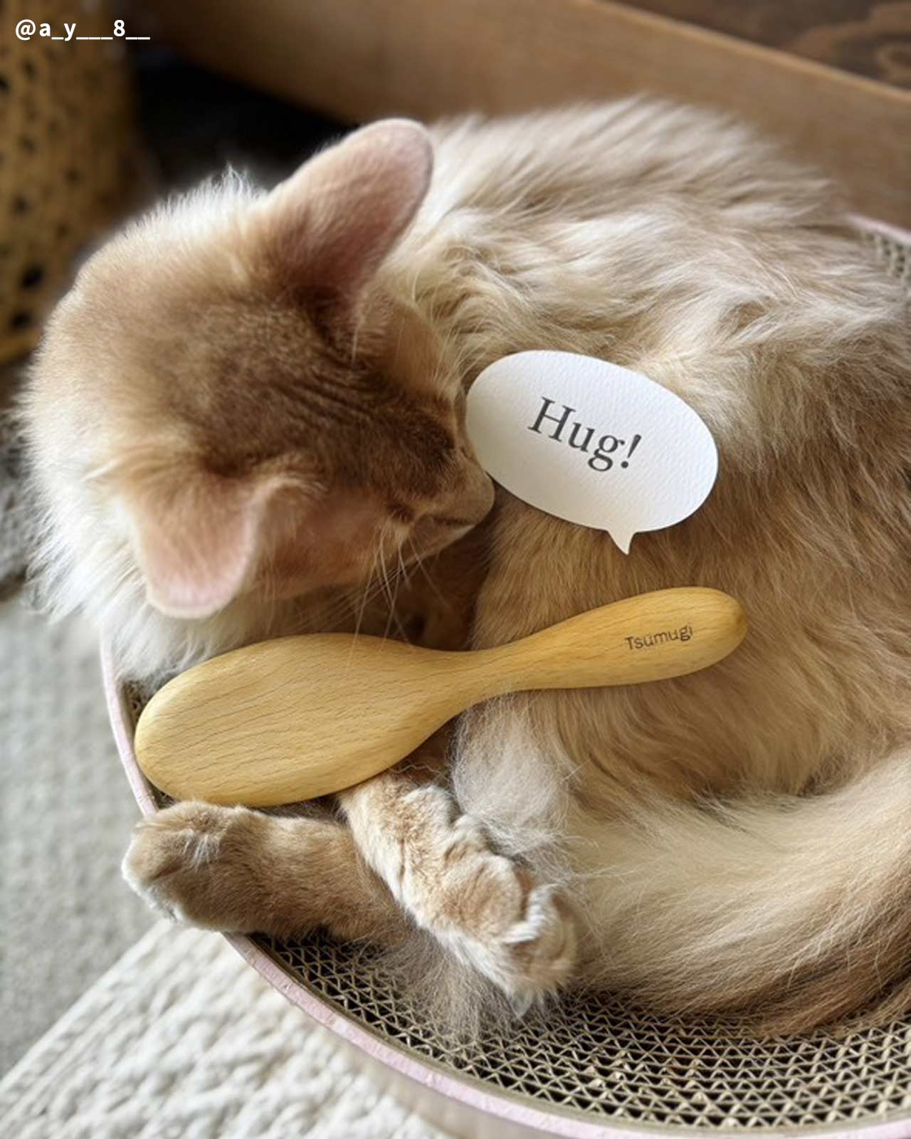 【名入れ】 ねこくら Hug!brush オリジナル キャットブラシ