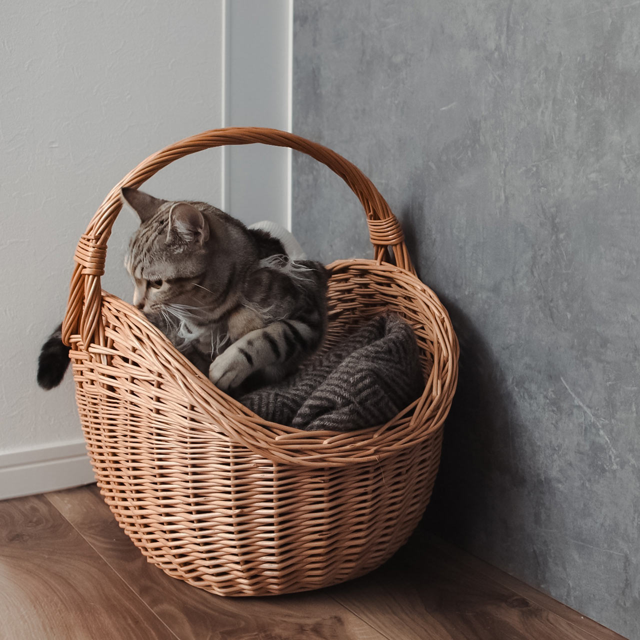 ねこがすっぽり入る、ラトビアのかご | 薪のバスケット PinumuPasaule