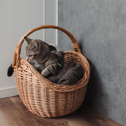 ねこがすっぽり入る ラトビア 薪のかご PinumuPasaule