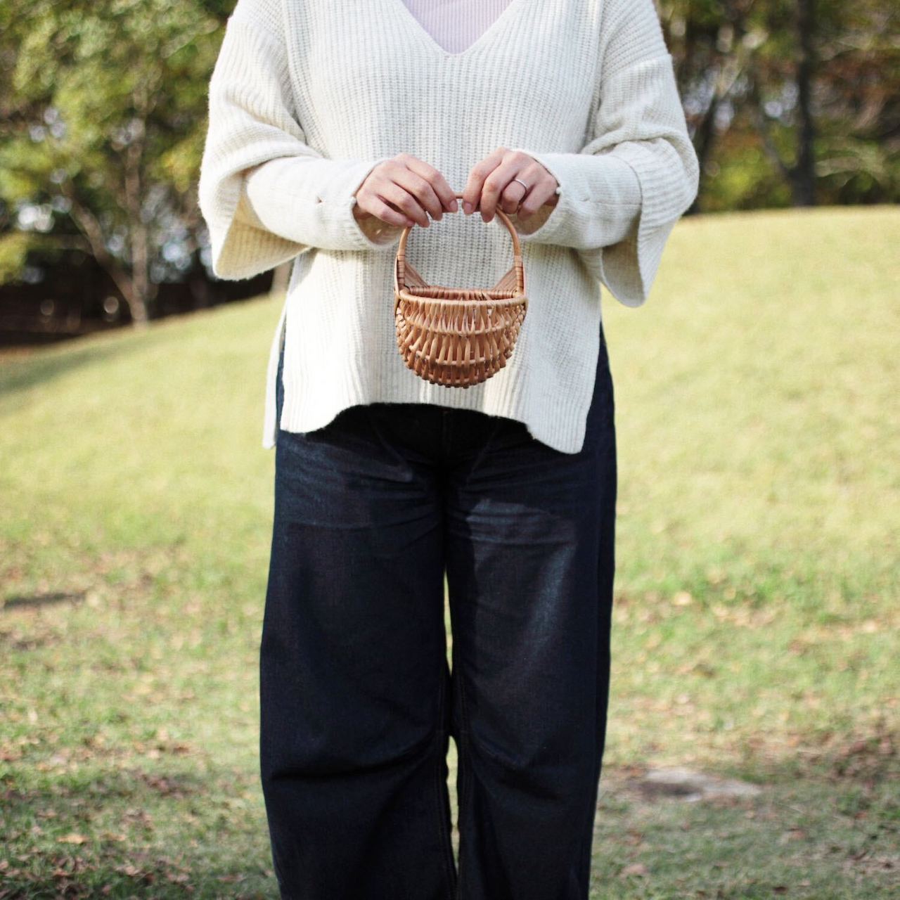 ラトビア 柳のウォールバスケット PinumuPasaule